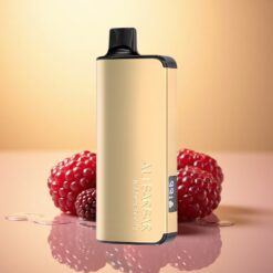 Alibarbar Ingot 9000 Puffs Blackberry Ice 2350mAh 22mL