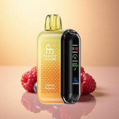 Fumot Tornado 20000 Puffs Blueberry Raspberry Dual Mesh 850mAh
