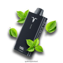 IGNITE Vape Ireland - IGNITE V150 Vape Pen Menthol 486FD672